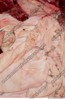 RAW meat pork 0025